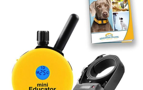 Evolution of Technologies: From Shock Collar to Remote Dog Training Collars