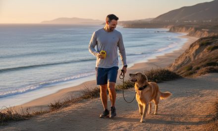 How to Stop a Dog From Pulling on Leash with an E-Collar: The Humane Communication Method