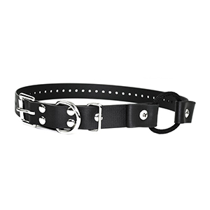 1" Bungee/Quicksnap Collar Straps