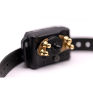 Comfort Pads for BP-504 Barkless Pro