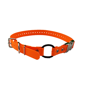 3/4" Bungee/Quicksnap Collar Strap