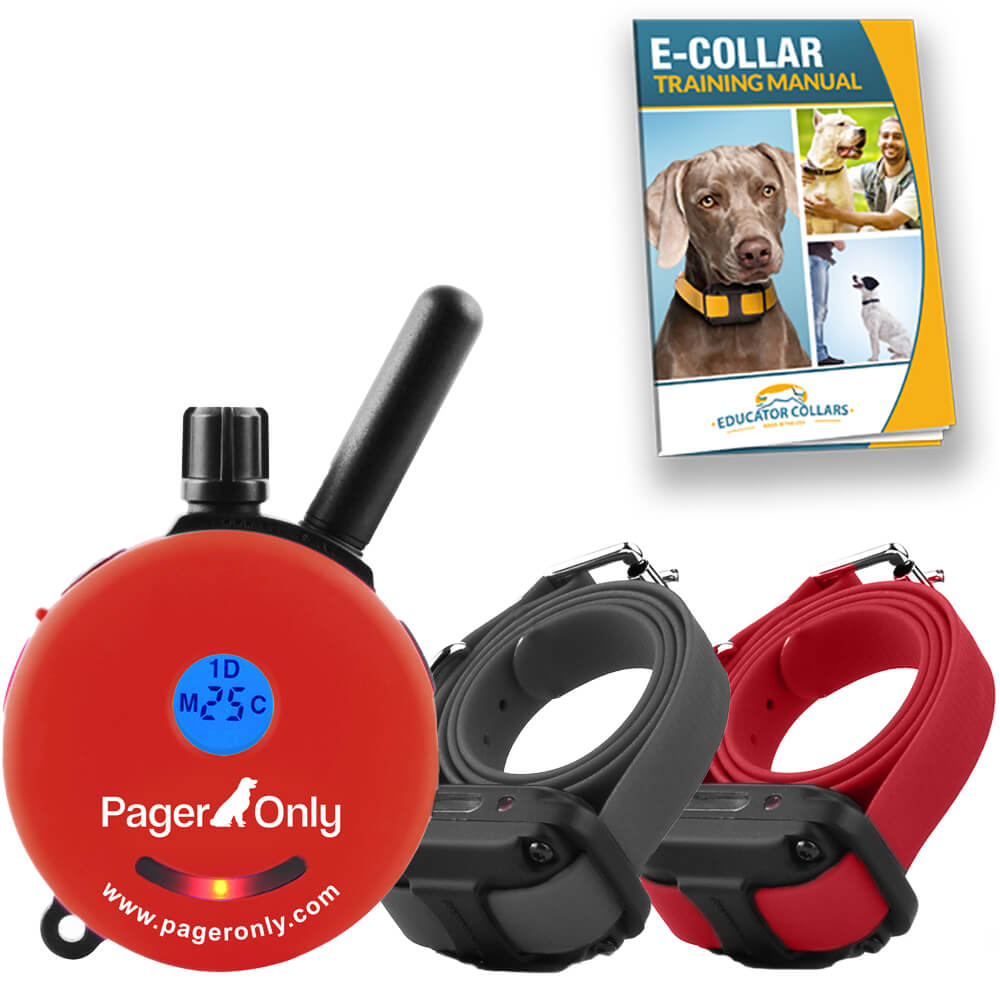Buzz collar best sale for dog training