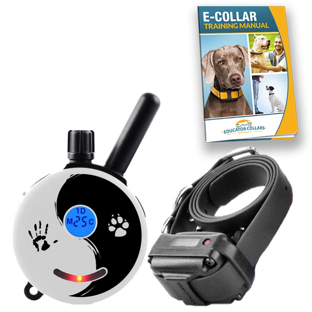 E Collar For Dogs Mini Educator Hotsell, 56% OFF | www 
