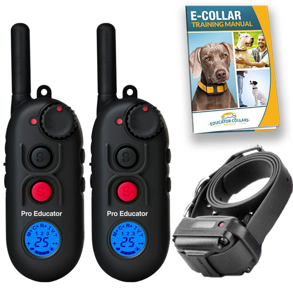 Dog training collar with two remotes online