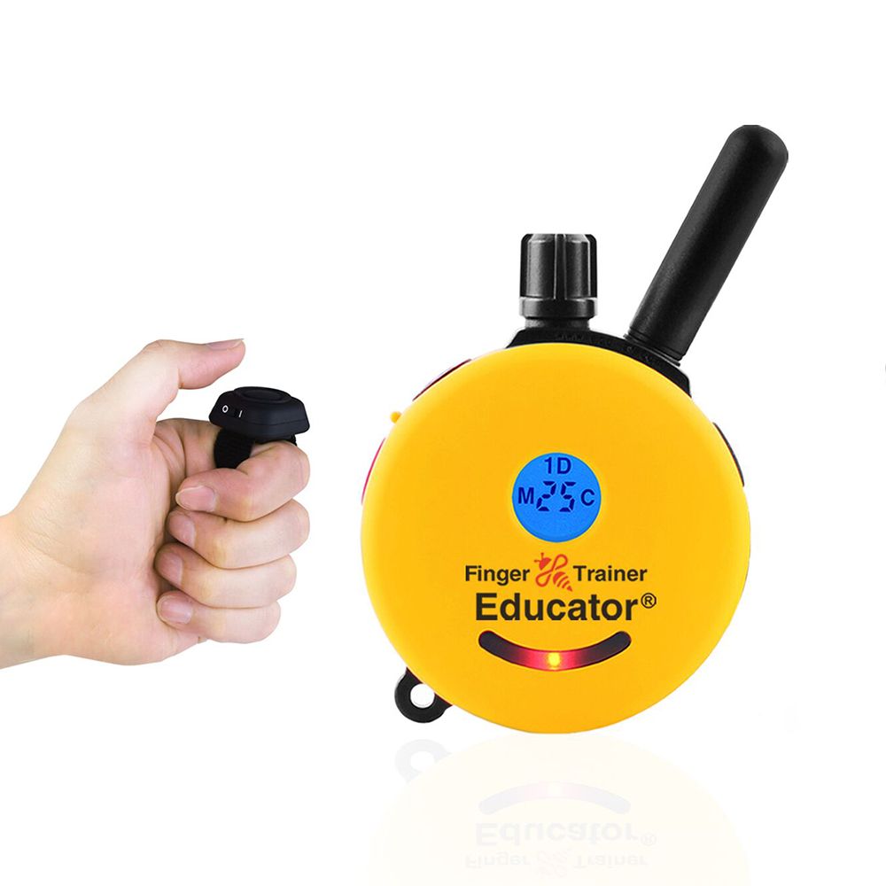 Educator e collar outlet