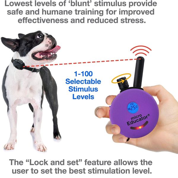 micro e collar