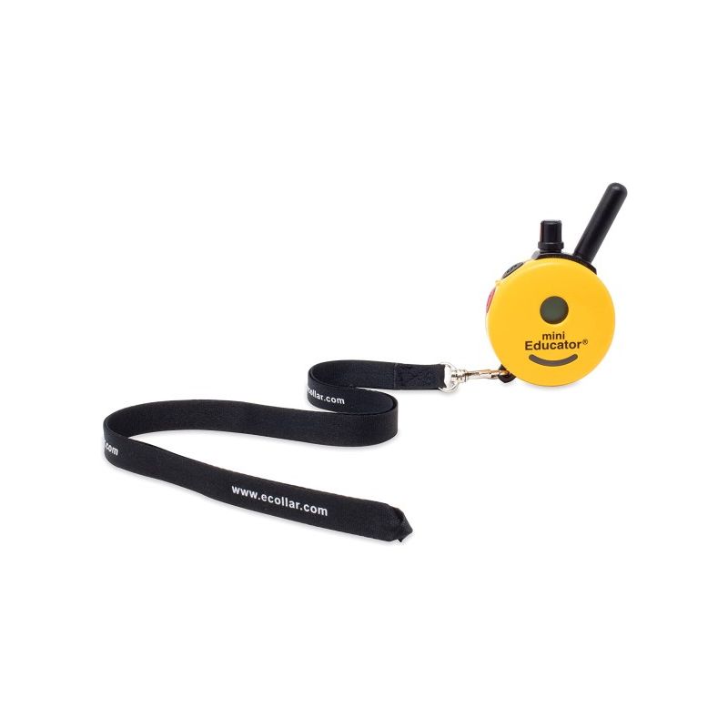 lanyard2.jpg