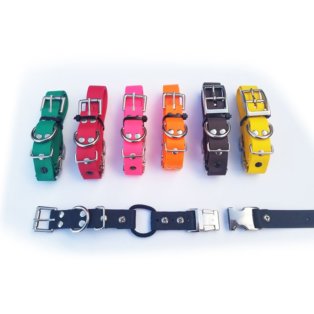 Educator 3/4 Biothane Bungee Quick Snap Collar | E Collar Technologies
