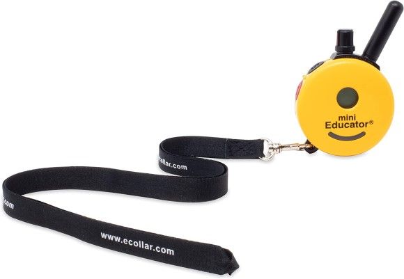 lanyard2.jpg