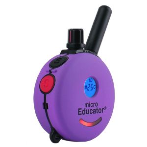 Educator ET-300 / 302 Mini Replacement Remote | E Collar Technologies