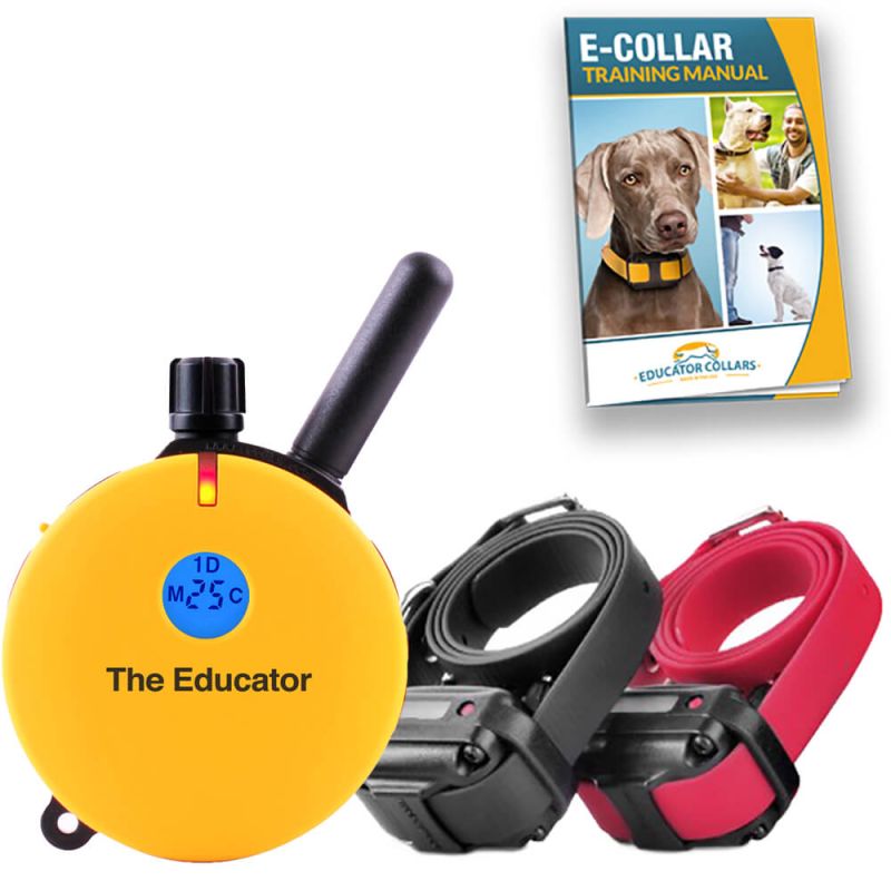 E collar training manual clearance