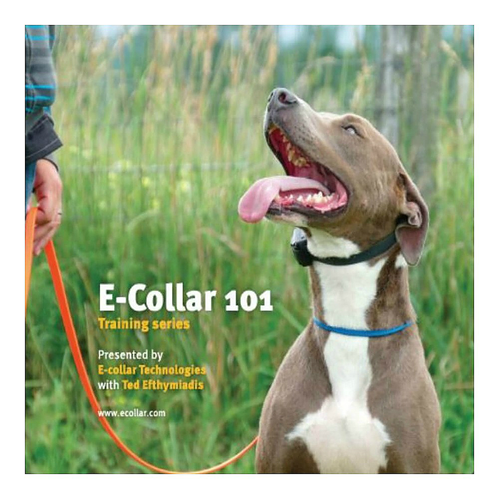 Best e collar training book online