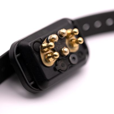 CPAD-001