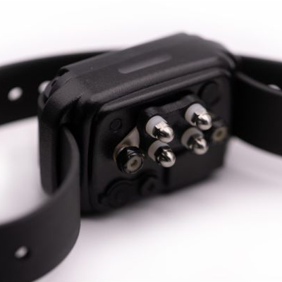 CPAD-001
