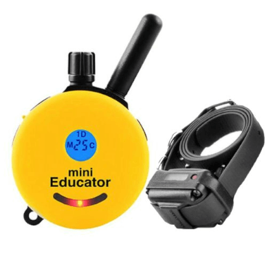 Educator e-Collars