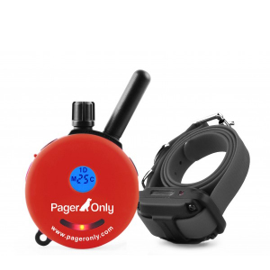 PG-300